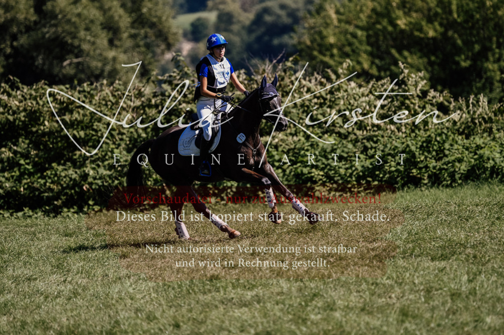 DSC_1702 | Pferde- und Turnierfotografie in Westsachsen. Pferdeportraits, Auftragszeichnungen und intuitive Kunst.