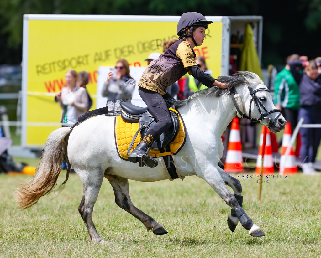 1B3A0653 | Reitsport Reiten