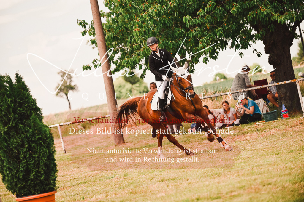 DSC_6876 | Pferde- und Turnierfotografie in Westsachsen. Pferdeportraits, Auftragszeichnungen und intuitive Kunst.
