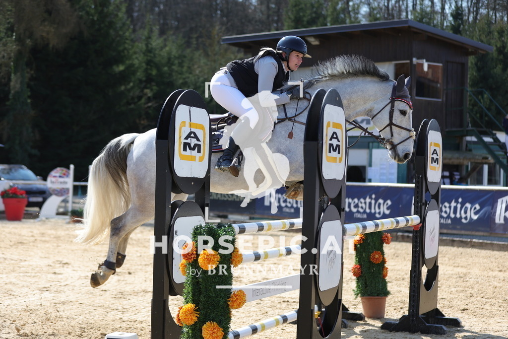 0P6A1600 | Willkommen bei Brunnmayr - Design & Fotografie – Ihrem Spezialisten für Reitturniere und Pferdeveranstaltungen in Oberösterreich, Salzburg und Bayern! Seit über 17 Jahren sind wir leidenschaftlich dabei.