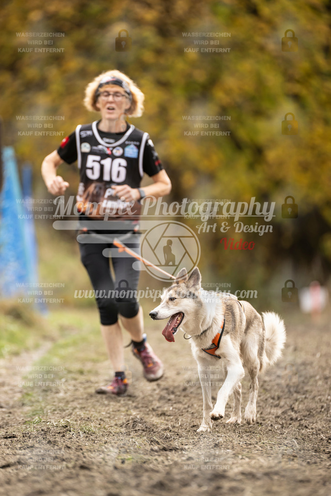 MompixPhotography_ICF_WC_2024_SA_Run_-537 | PayLife