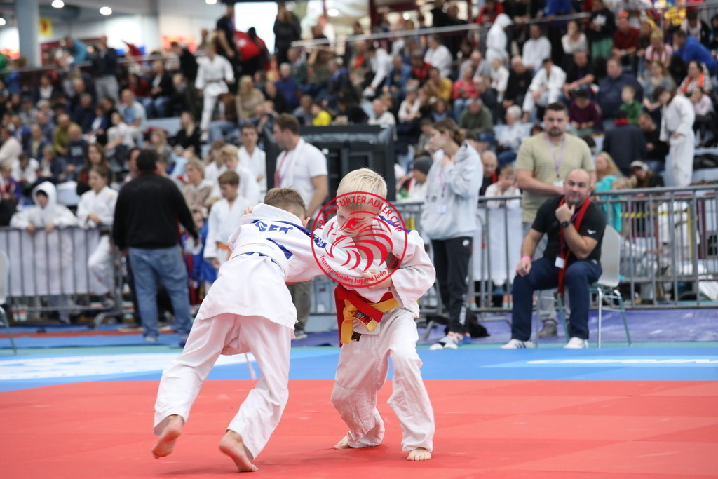 1J7A3173 | Fotos vom Adler Cup - Pictures from Adler Cup

Hier findet Ihr alle Eindrücke und großen Momente der Adler Cup Wochenenden. Here you will find all impressions and great moments of the Adler Cup weekends. - Realisiert mit Pictrs.com