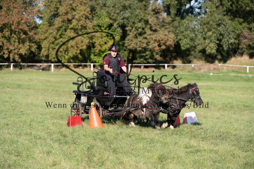 A7V04617 | Pferdefotograf