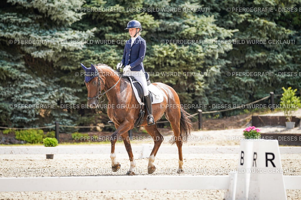 DSC09289 | Pferdegrafie