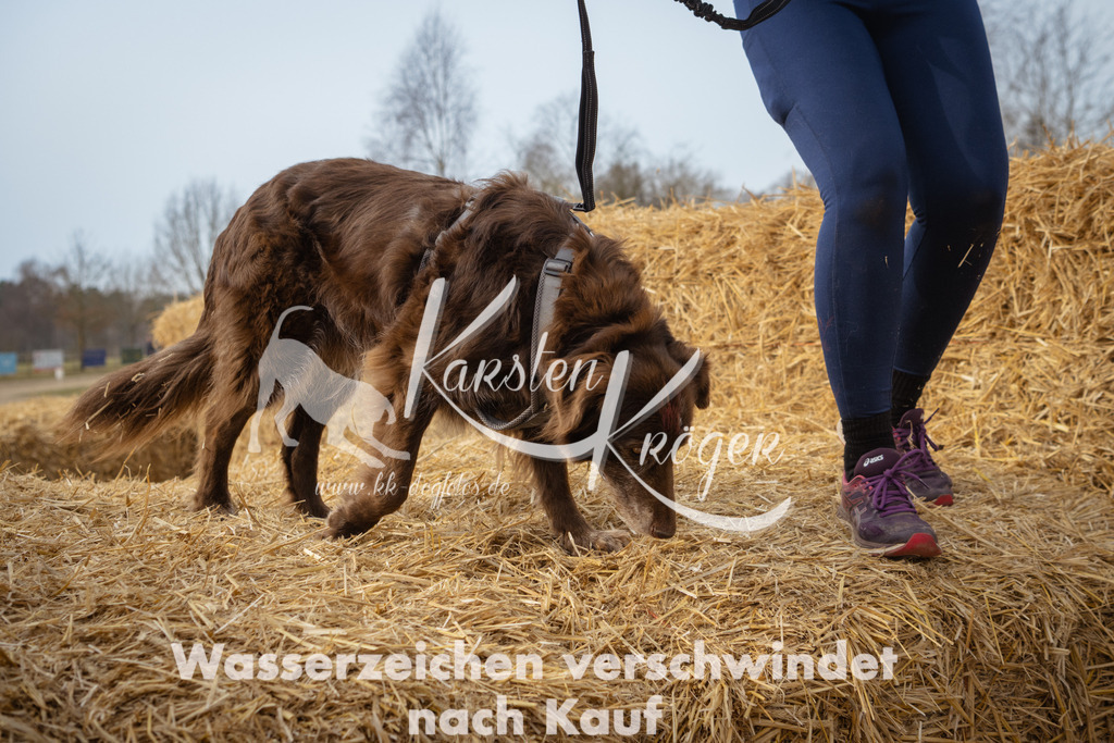 1050_ZZ90181 | kk-dogfotos
