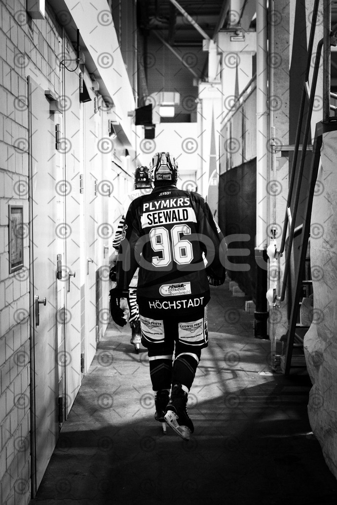 Alligators_vs_Bayreuth_19_10_2025-29 | Die Fotogalerie von Daddel: professionelle Bilder von Sport, Events und Unternehmen aus Franken. Jetzt Galerien durchstöbern und Lieblingsfotos bestellen. - Realisiert mit Pictrs.com