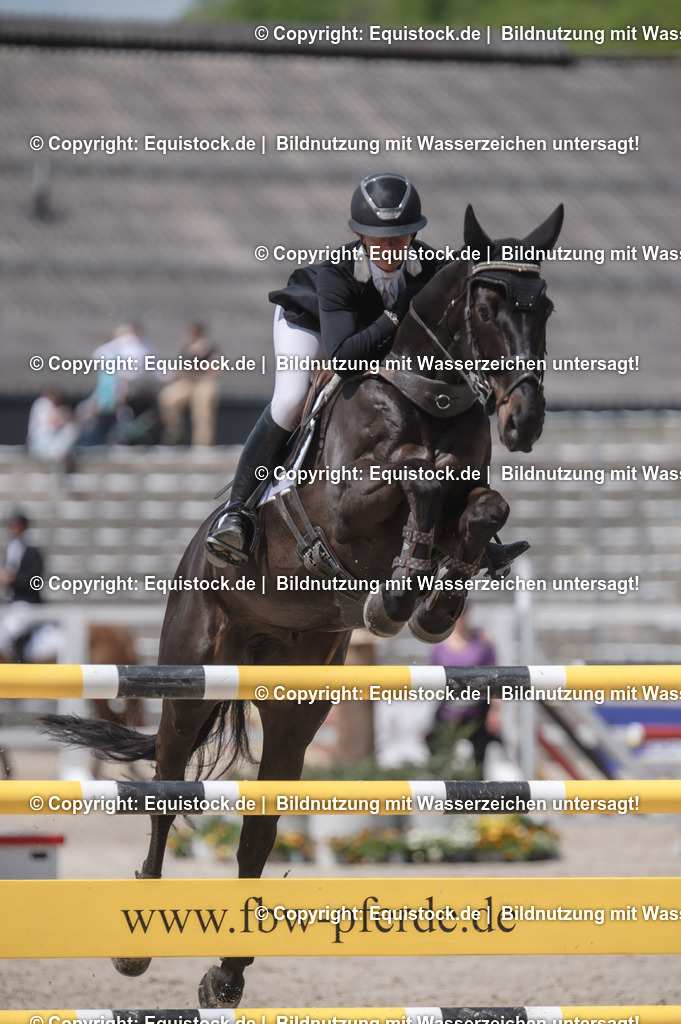 20240512_CCI4-S_Show-Jumping_0143 | Foto: Thomas Hartig