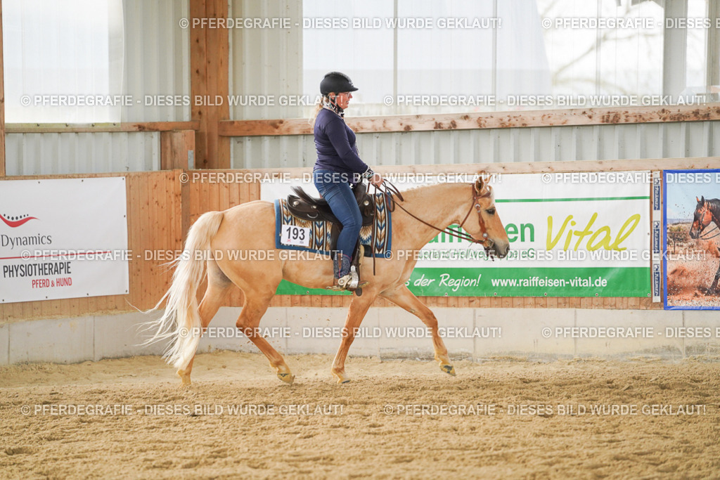 DSC06371 | Pferdegrafie