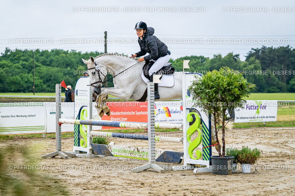 DSC02390 | Pferdegrafie