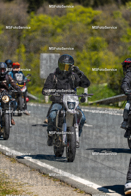 MSFotoServiceXXX342 | MSFotoService - Realisiert mit Pictrs.com