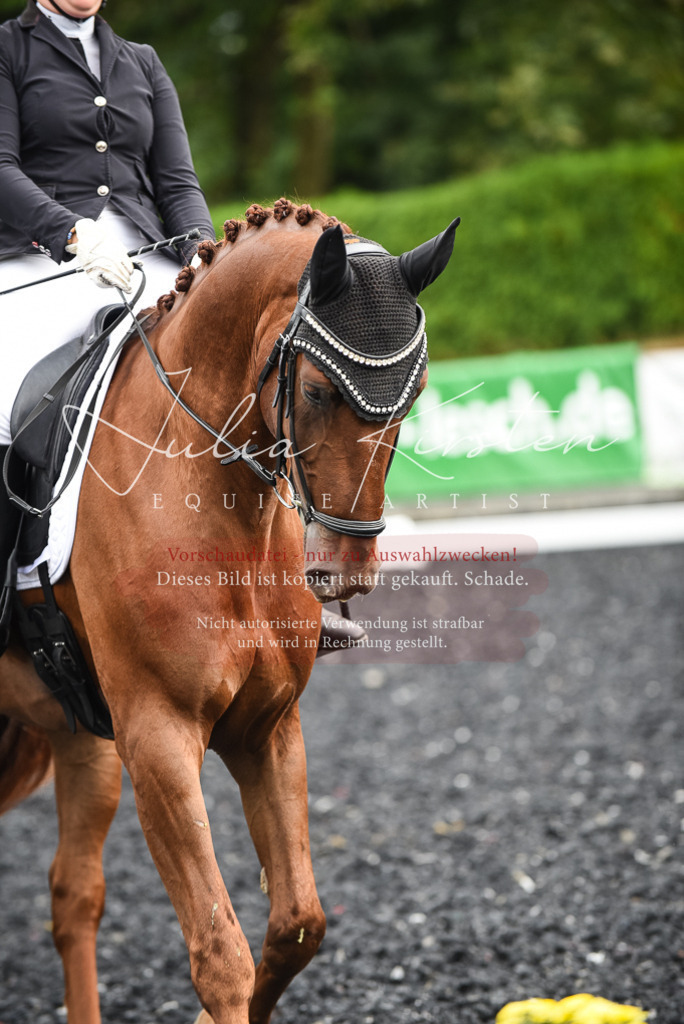 DSC_2886 | Pferde- und Turnierfotografie in Westsachsen. Pferdeportraits, Auftragszeichnungen und intuitive Kunst.