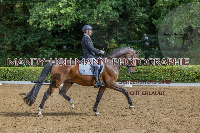 16.8.25 D1 DRE M-166 | mandyhollmannphotographie