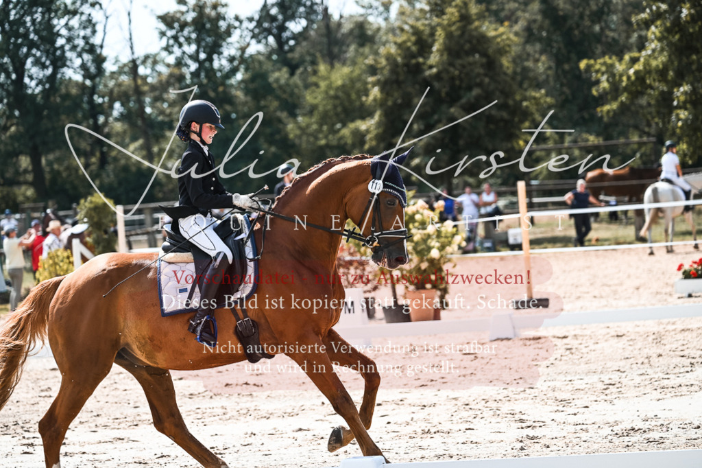 DSC_5114 | Pferde- und Turnierfotografie in Westsachsen. Pferdeportraits, Auftragszeichnungen und intuitive Kunst.