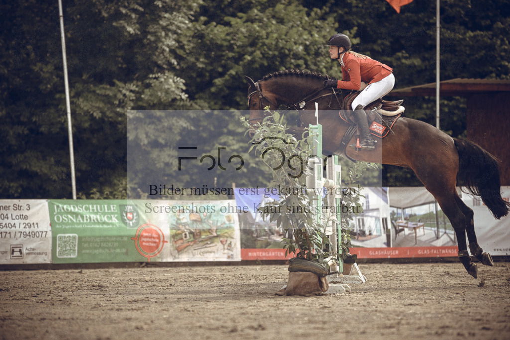 20240530-DOS_3850 | Entdecke hochwertige Reitturnierfotos von Foto Oger. Professionell, emotional und authentisch – jetzt Lieblingsmomente im Shop bestellen.Deutschlandweite Turnierfotografie. - Realisiert mit Pictrs.com