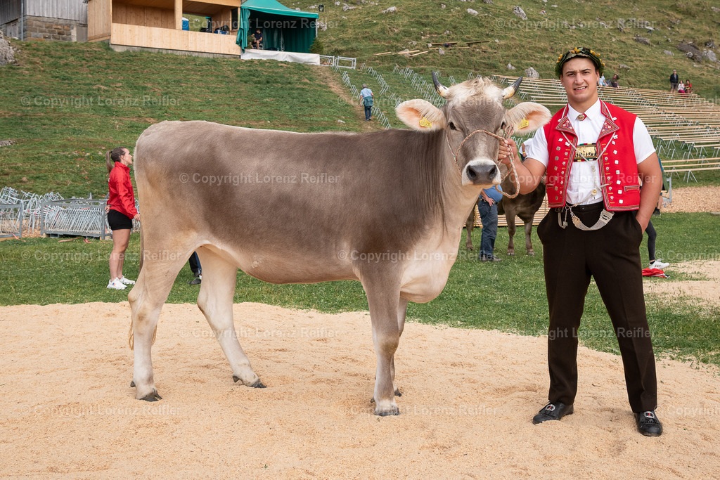 Schwingen -  Schwägalp Schwinget 2025 | Schwägalp, 17.8.25, Schwingen - Schwägalp Schwinget.