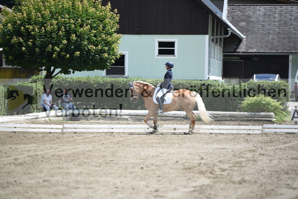 DSC_9091 | equestrian-live-com