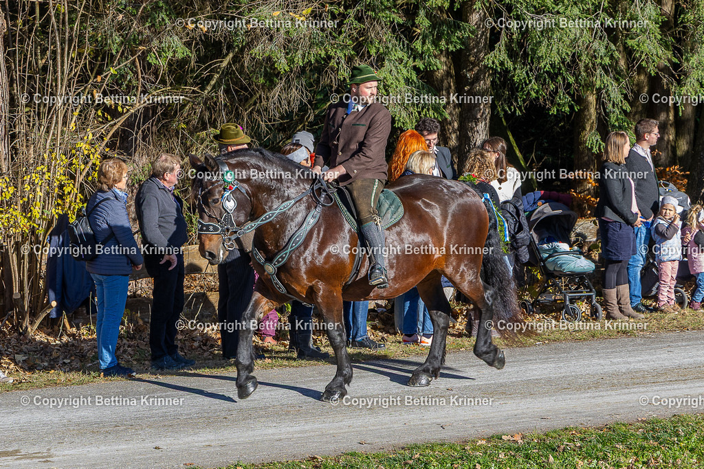 LBT25-801 | foto-bettina-krinner - Realisiert mit Pictrs.com