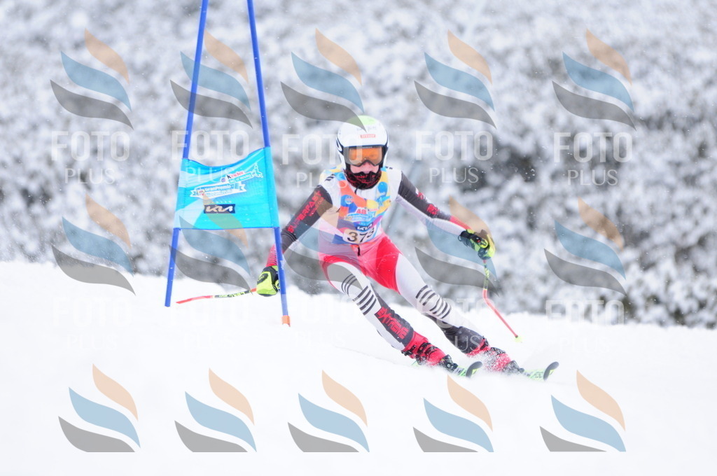 C3971 | holidayphoto