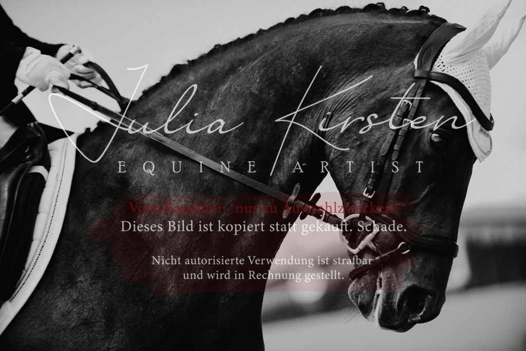 DSC_9286 | Pferde- und Turnierfotografie in Westsachsen. Pferdeportraits, Auftragszeichnungen und intuitive Kunst.