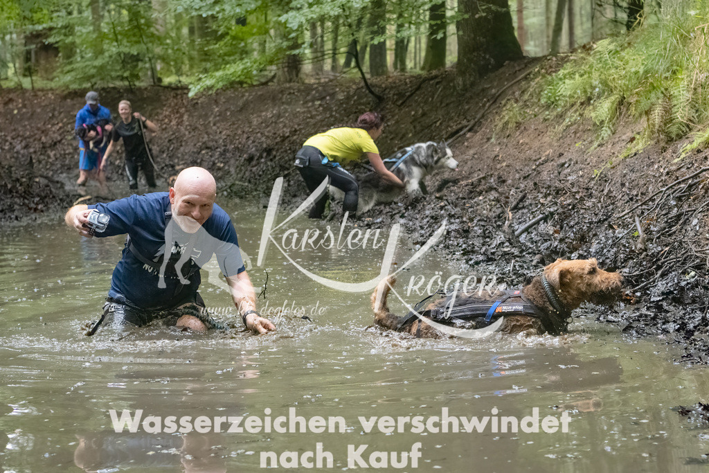 0956_ZZ91508-Bearbeitet | kk-dogfotos