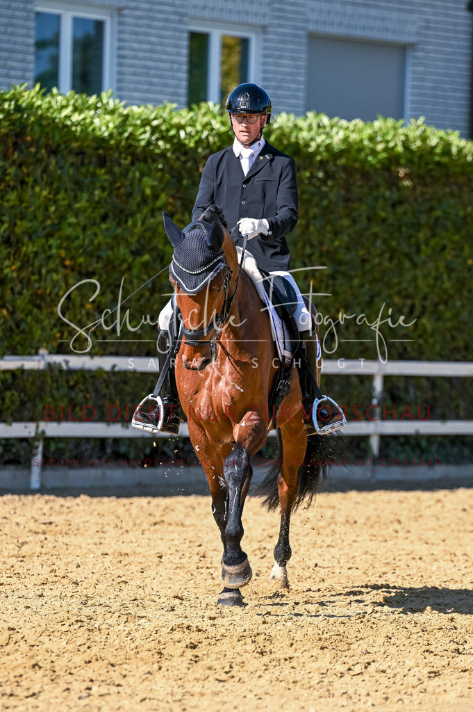 Schugtsche-Aluta25-50.Dressurpferdeprf.L-255 | Schugtsche Fotografie - Realisiert mit Pictrs.com