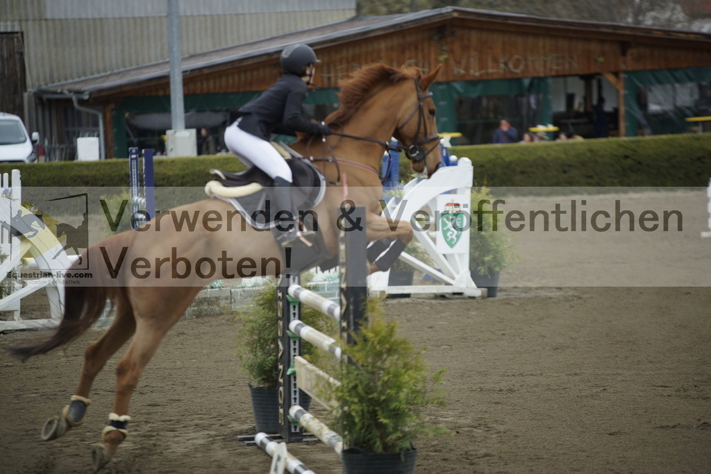 _DSC7066 | equestrian-live-com