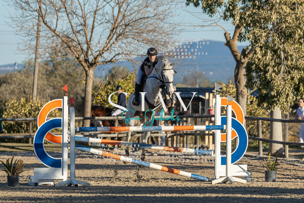 IMG_2370 | s-jay-photography - Realisiert mit Pictrs.com