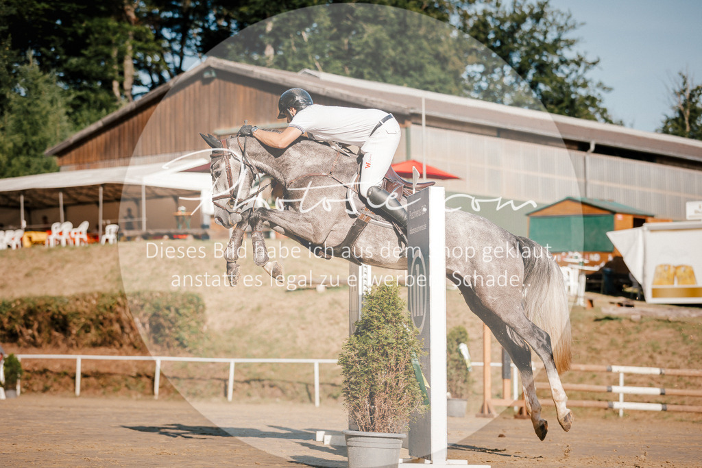 3I6A6294 | Stimmungsvolle Portraits und Reitsportfotografie im Ruhrgebiet und im Münsterland.

Pferdefotografie, Hundefotografie, Tierfotografie, Reportagen, Portraits von Tier und Mensch, Turnierfotografie in Bochum, Recklinghausen, Marl, Haltern am See, Dülmen.. - Realisiert mit Pictrs.com