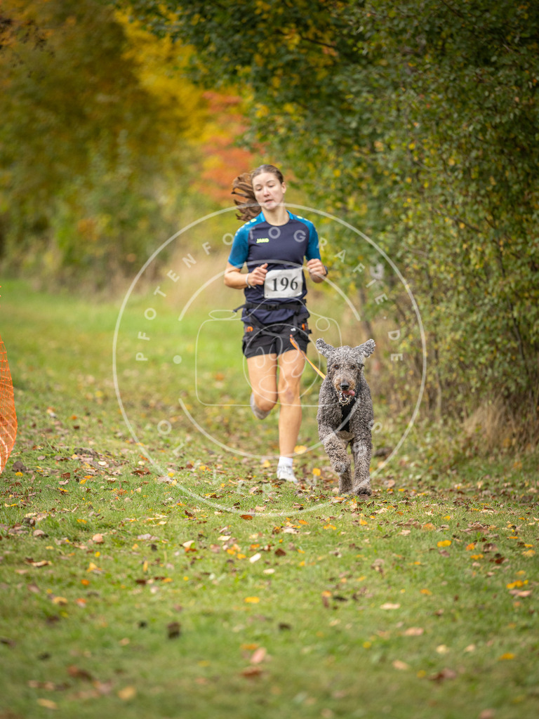 Pfotenfotografie_DV3A3859 | Hundefotografie, Tierfotograf, Pfotenfotografie, Fotoshooting Hund, Hunde Portrait, Hundesport, Hundeportraits, Heideshooting, Hunde, Sportfotograf, Hundefotograf, Turnierhundsport, THS,  - Realisiert mit Pictrs.com