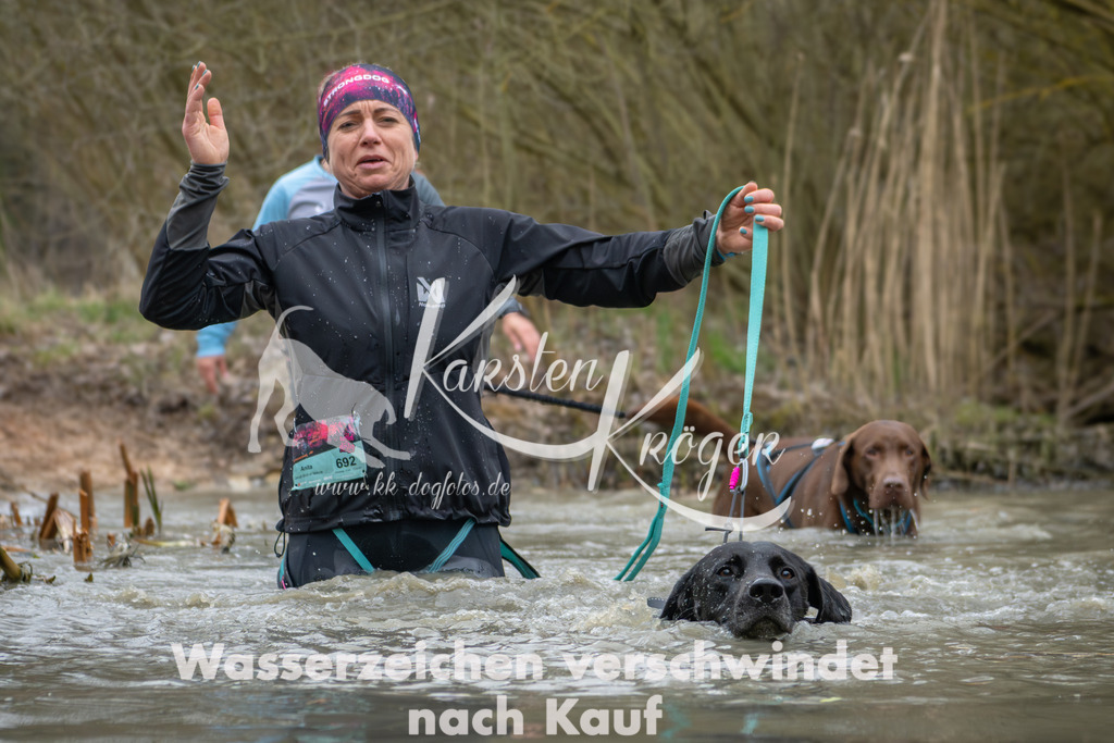1340_ZZ91493 | kk-dogfotos