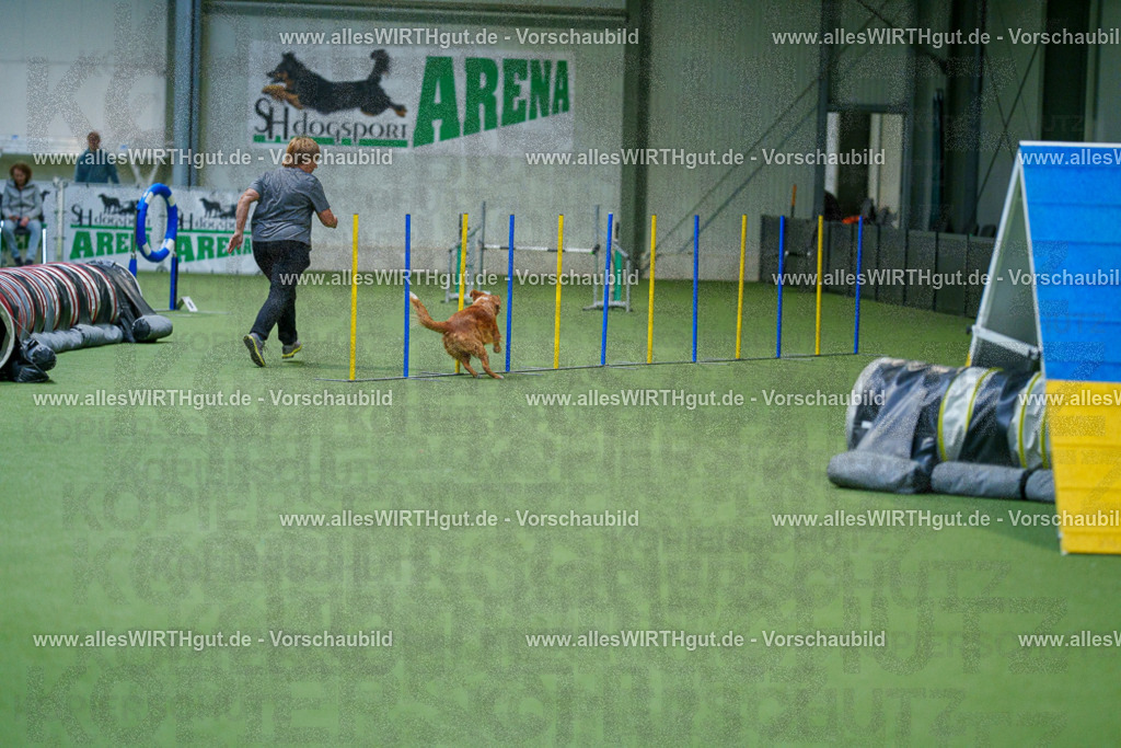 @allesWIRTHgut_Tierfotografie - www.allesWIRTHgut.de - 2604250824-7R506464 | Professionelle Tierfotografie in Mönchengladbach von Daniel Wirth (allesWIRTHgut). Liebevolle & natürliche Bilder von Hunden & Katzen für unvergessliche Erinnerungen.
