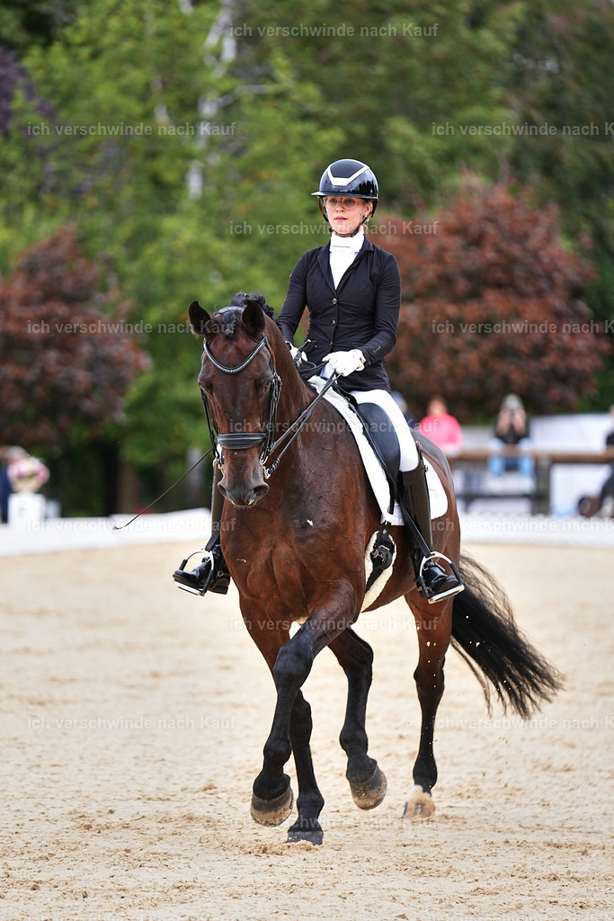 04_1-022-Dressur M__ -Marixx-2767 | working equitationturnier fotograf videograf stoibphotography marixx film working equitation deutschland reitsport turnierfotografie eventfotografie equestrian events