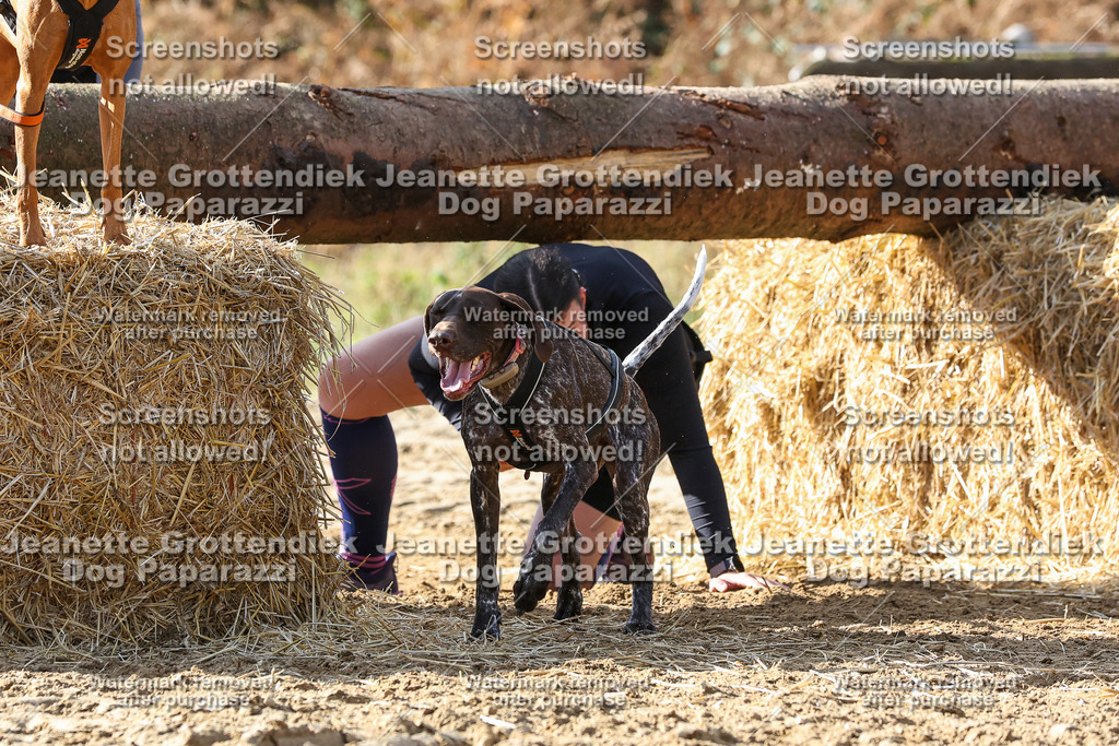 Dog Paparazzi - Strongdog 10-25-5474 | Dog Paparazzi Jeanette Grottendiek Fotografie & Videografie - Realisiert mit Pictrs.com