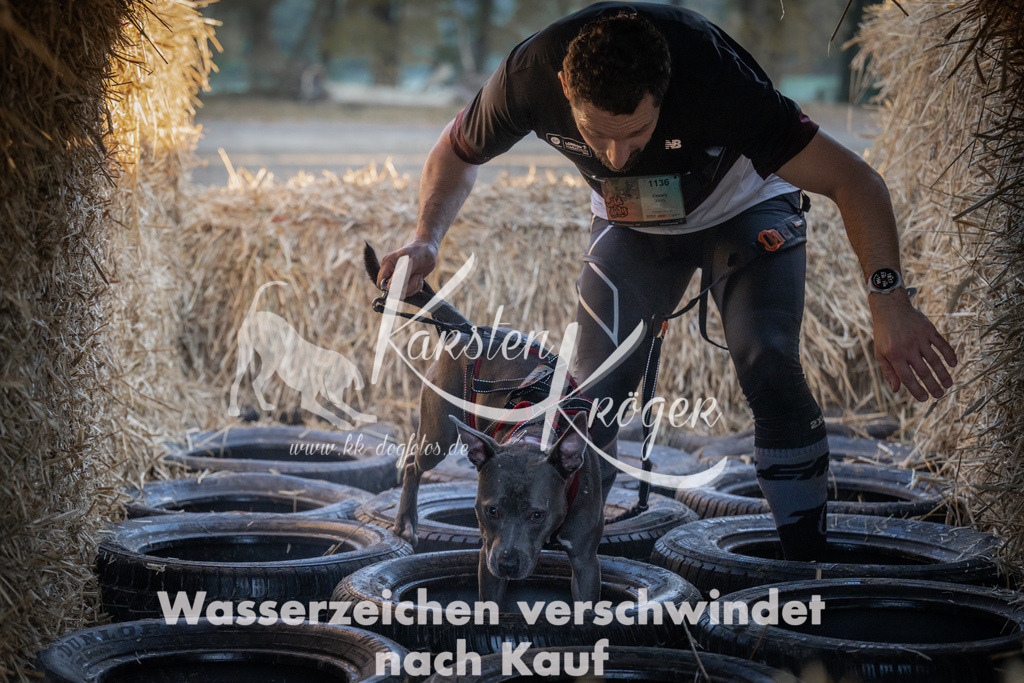 0931_ZZ93343 | kk-dogfotos