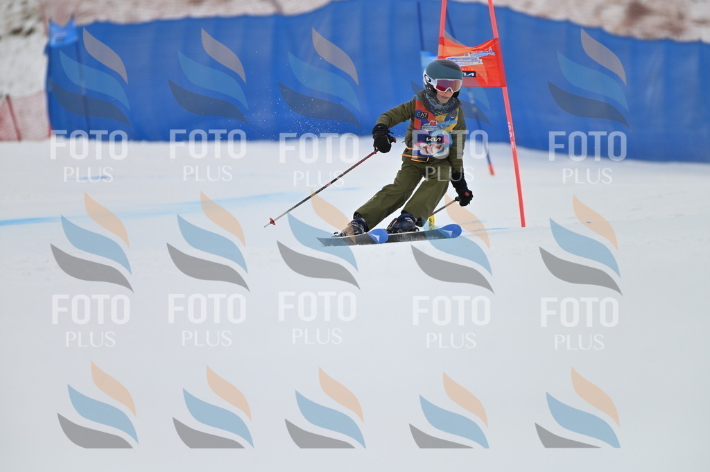 BGV_0779 | holidayphoto