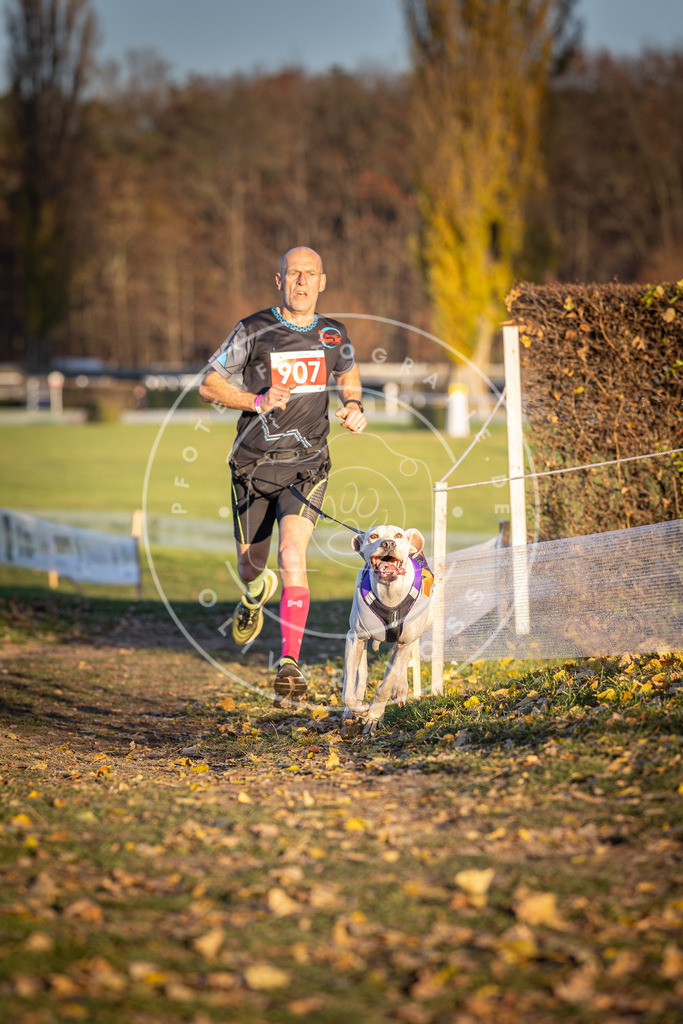 CaniXpix_DV3A4726 | Hundefotografie, Tierfotograf, Pfotenfotografie, Fotoshooting Hund, Hunde Portrait, Hundesport, Hundeportraits, Heideshooting, Hunde, Sportfotograf, Hundefotograf, Turnierhundsport, THS,  - Realisiert mit Pictrs.com