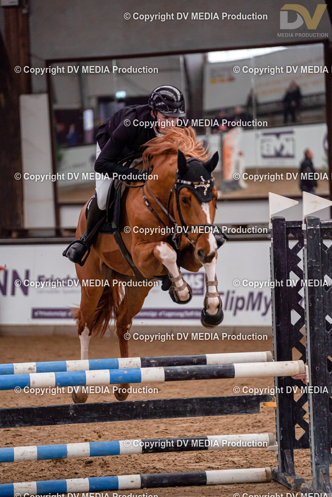 Kranichstein II Tag 1-176 | dv-media-shop - Realisiert mit Pictrs.com