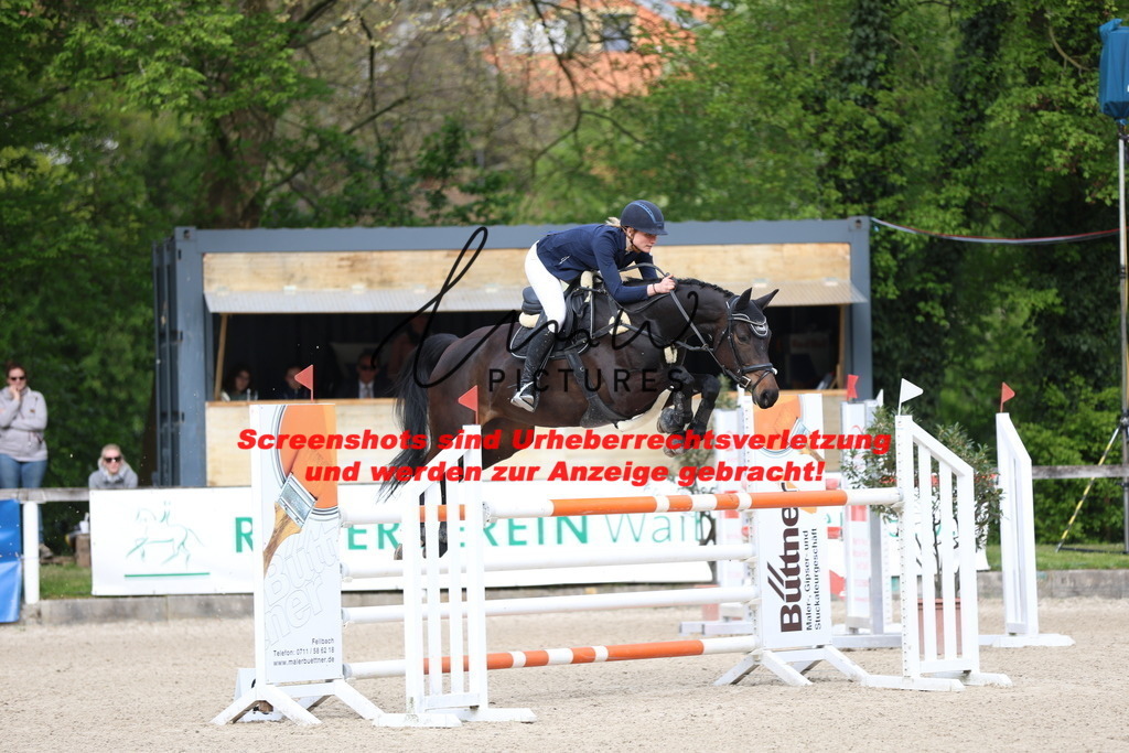 A40A3046 | lmwpictures - Realisiert mit Pictrs.com