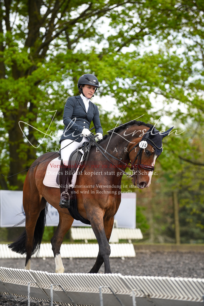 20230513_JK-Röhrsdorf-17-303 | Pferde- und Turnierfotografie in Westsachsen. Pferdeportraits, Auftragszeichnungen und intuitive Kunst.