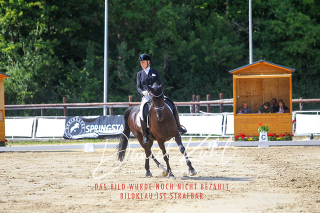 DKP46476 | Turniersportfotografie; Pferdefotografie; Dressurfotografie