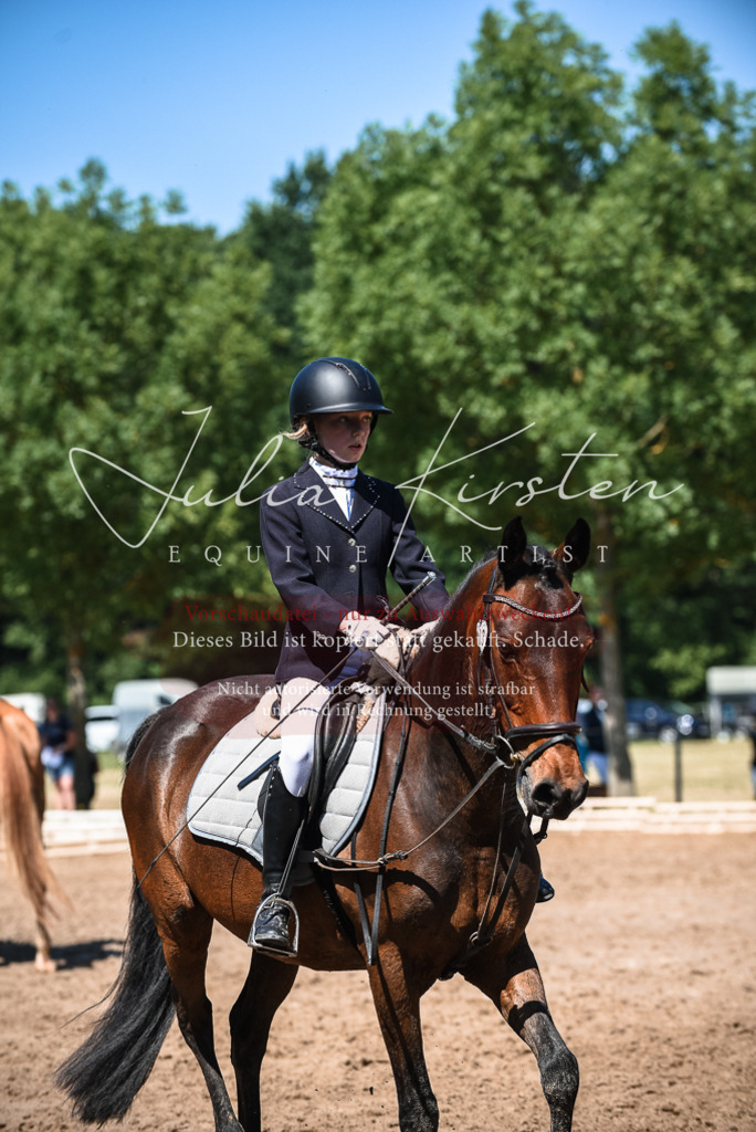 DSC_3301 | Pferde- und Turnierfotografie in Westsachsen. Pferdeportraits, Auftragszeichnungen und intuitive Kunst.