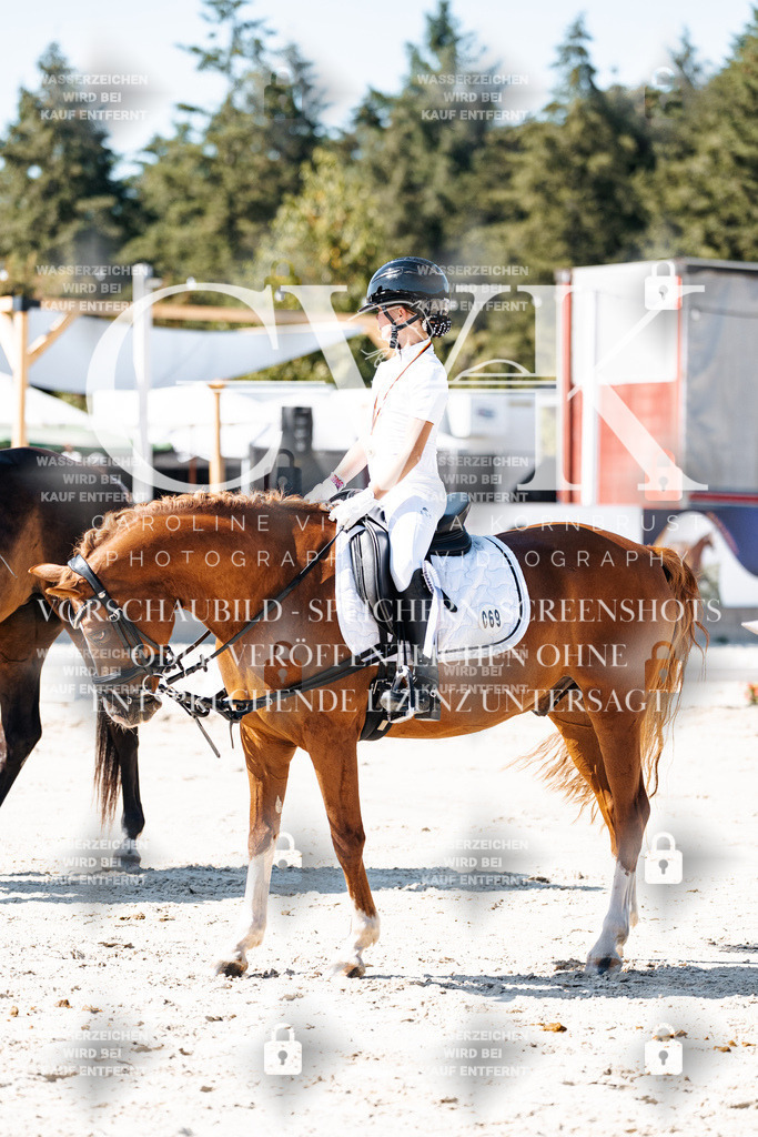 CK902938 | Turnierfotografie Pferdefotografie Trier Rheinland-Pfalz Pferdesport Reitsport Tierfotografie Sportfotografie Pferdevideo Pferdevideografie Equestrianvideography equestrianphotography  - Realisiert mit Pictrs.com