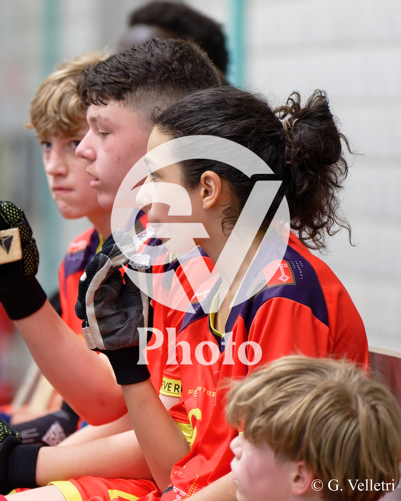 DSC_6034 | Velletri Photo