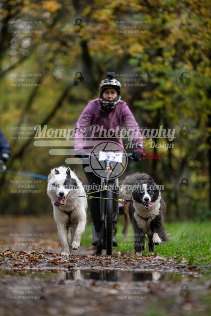 MompixPhotography_Bischwiller23_DS2-38 | mompixphotography