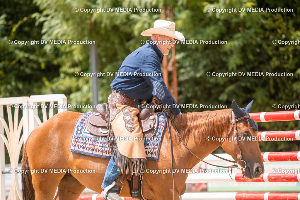 EWP_6554 | dv-media-shop - Realisiert mit Pictrs.com