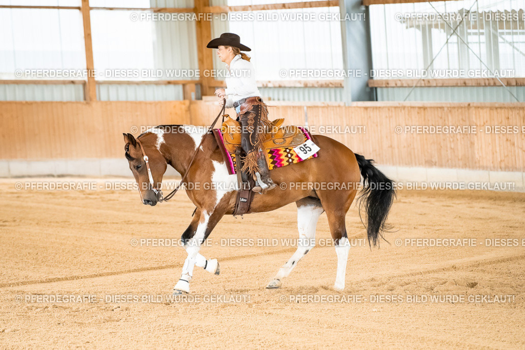 DSC01860 | Pferdegrafie