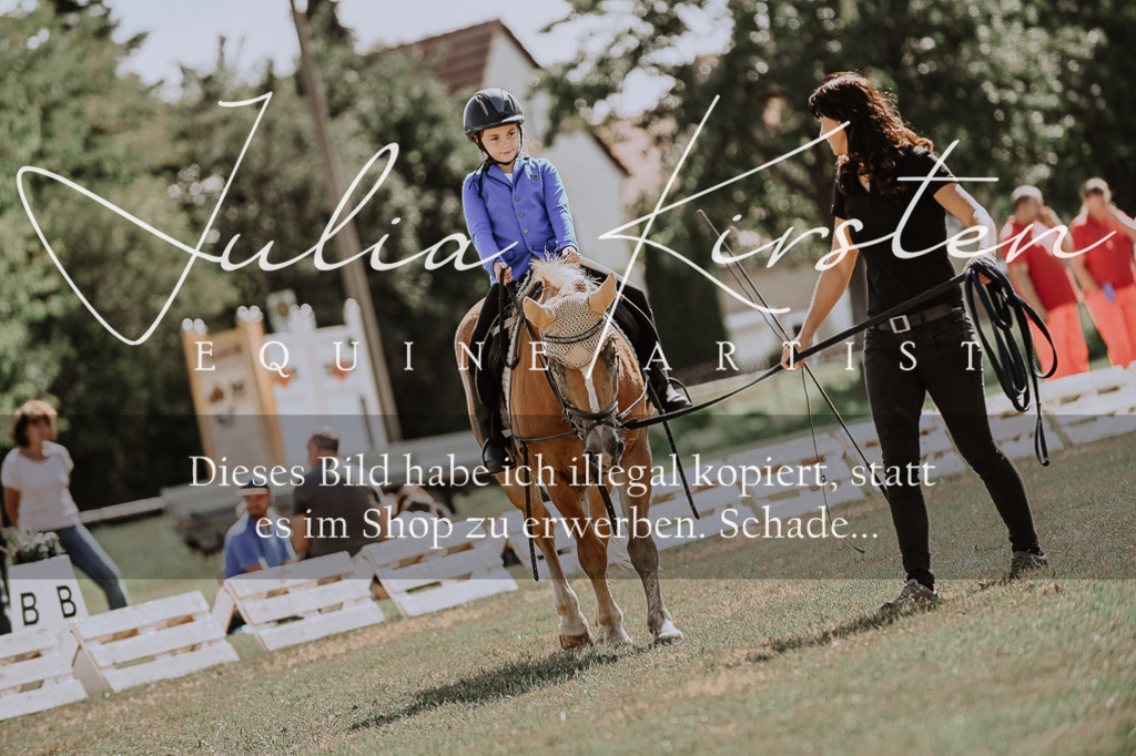 DSC_7540 | Pferde- und Turnierfotografie in Westsachsen. Pferdeportraits, Auftragszeichnungen und intuitive Kunst.