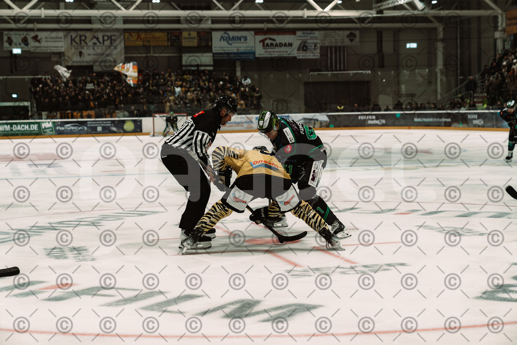 Alligators_vs_Bayreuth_10_2025-57 | Höchstadt Alligators Fotogalerie: Eishockey-Action aus Franken. Professionelle Spielfotos, Portraits & Stadionbilder zum Download. Jetzt entdecken! - Realisiert mit Pictrs.com