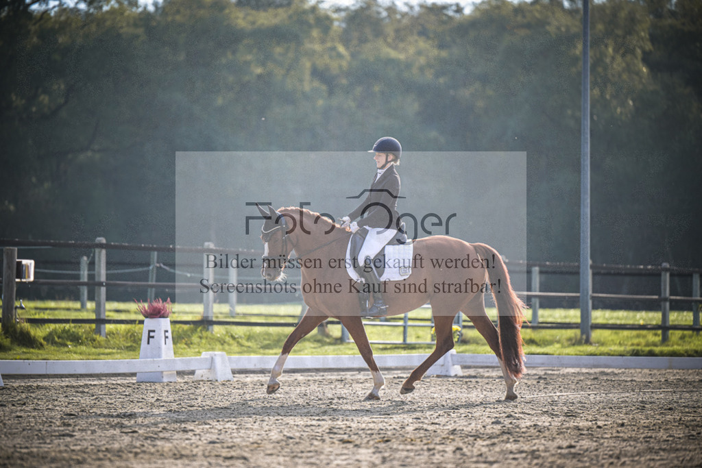 DOS_3483 | Entdecke hochwertige Reitturnierfotos von Foto Oger. Professionell, emotional und authentisch – jetzt Lieblingsmomente im Shop bestellen.Deutschlandweite Turnierfotografie. - Realisiert mit Pictrs.com