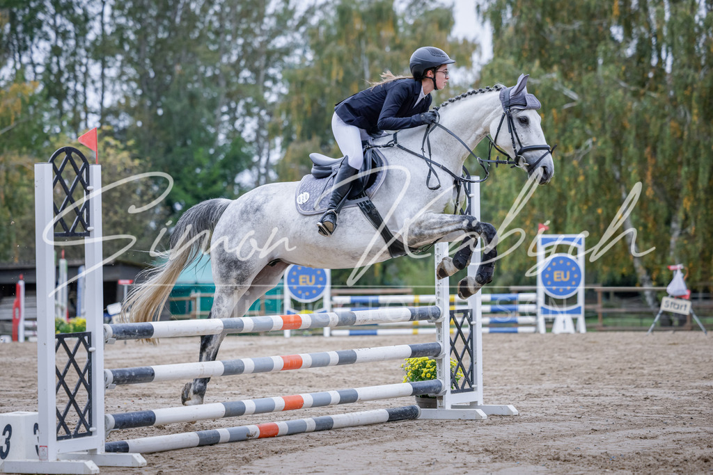 20251012-_3LI3340 | Tierfotografie Pferde, Hunde, Katzen, Haustiere.
Turnierfotografie Reitturniere, Reiten, Springreiten, Dressur in Hanau, dem Main-Kinzig-Kreis und dem Rhein-Main- Gebiet um Frankfurt